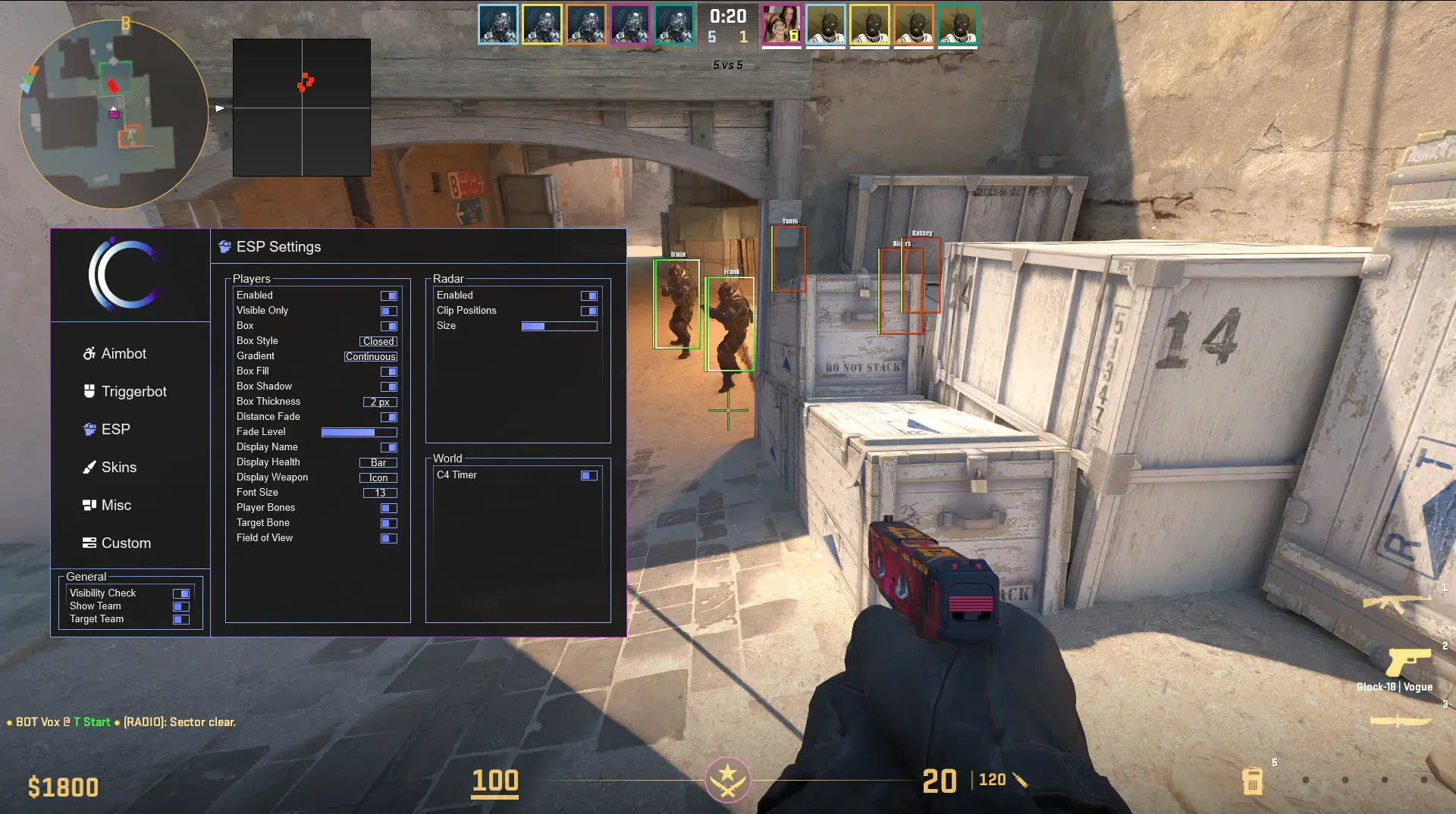 VaporCheats ESP settings during a Counter-Strike 2 match